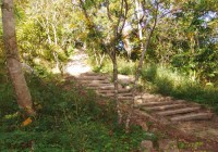 /album/fotogaleria/caminos-jardin-botanico-moyobamba-jpg/